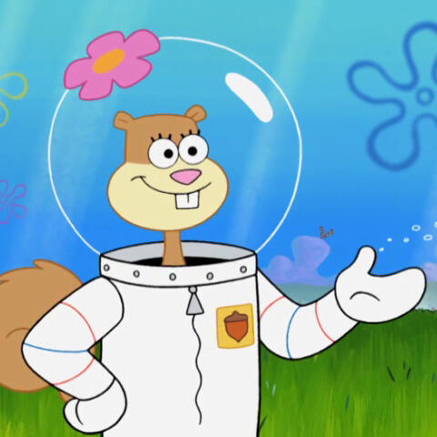 Sandy Cheeks President